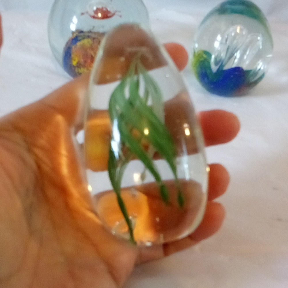 Glass nautical paperweights vintage shells, anemone, sea grass & reef - Picture 4 of 8